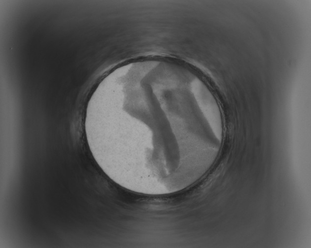 X0000100481359200807111053