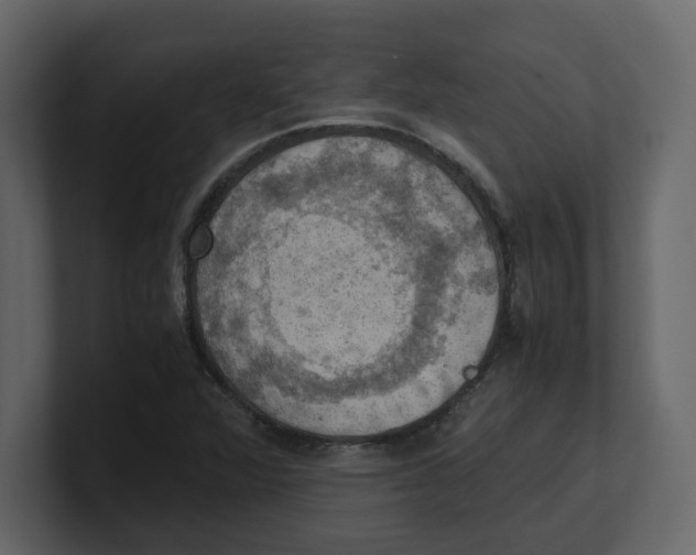 X0000100481360200807111053