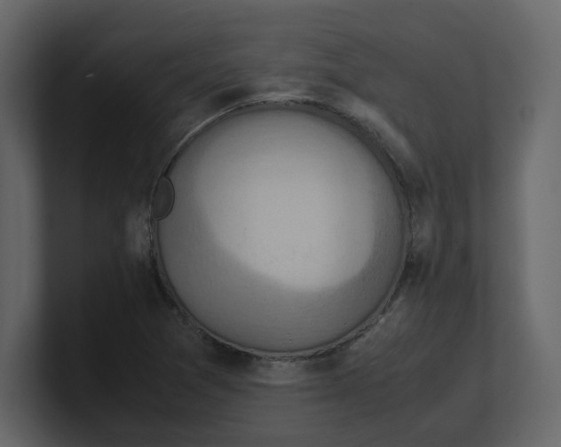 X0000100481361200807111053