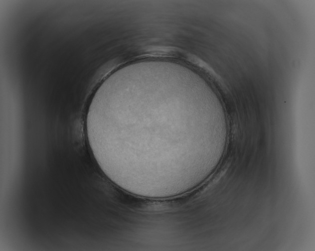 X0000100481362200807111053