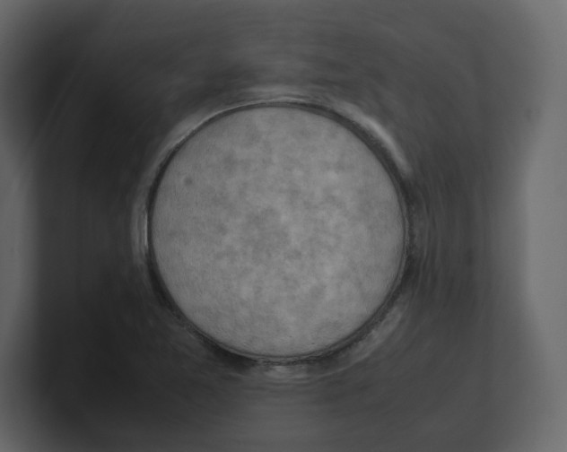 X0000100481365200807111053