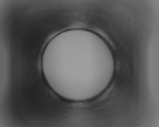 X0000100481366200807111053