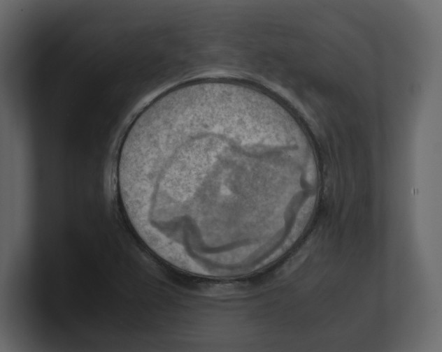 X0000100481367200807111053