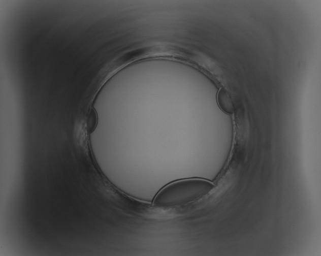 X0000100481369200807111053