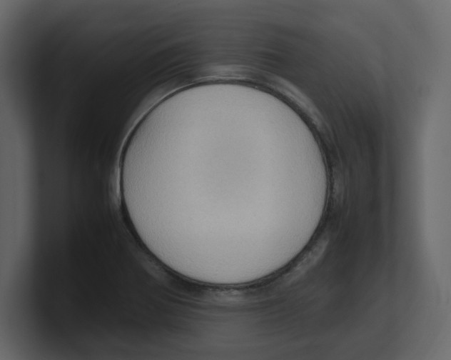 X0000100481370200807111053