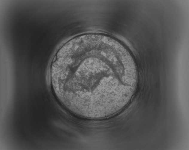 X0000100481371200807111053