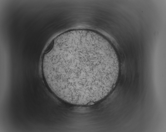X0000100481374200807111052