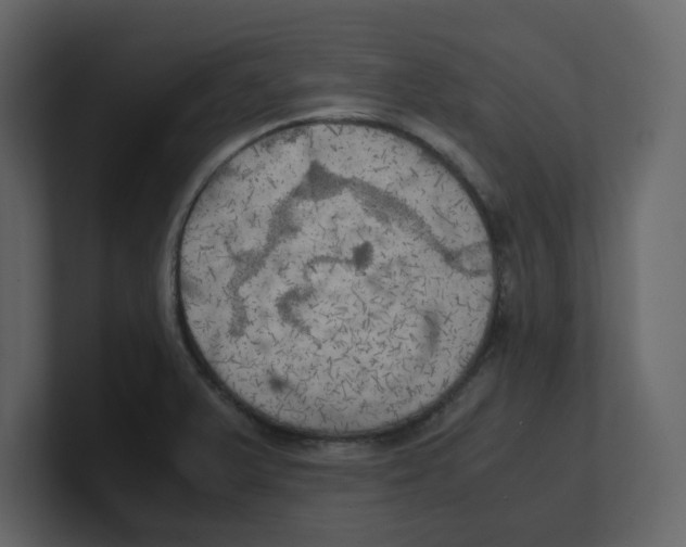 X0000100481375200807111052