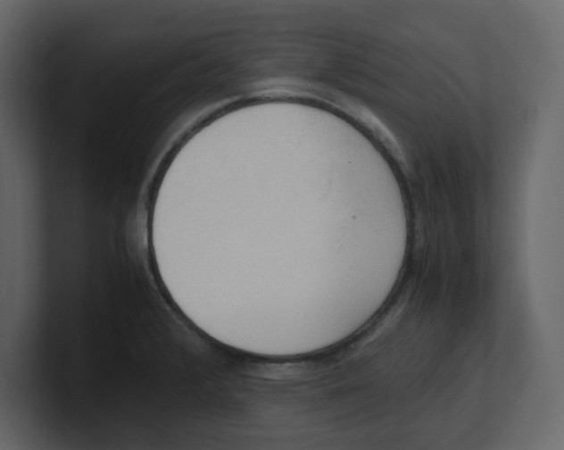 X0000100481376200807111052