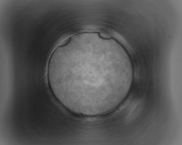 X0000100481378200807111052