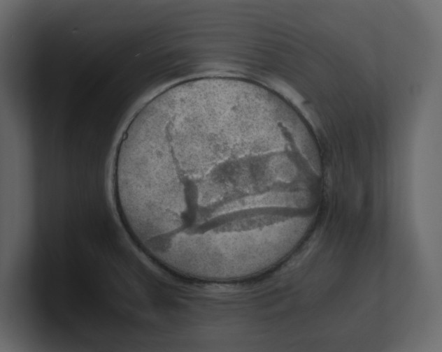 X0000100481379200807111052