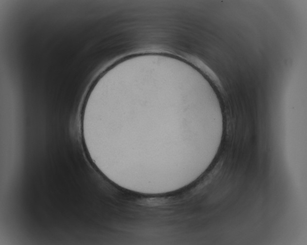 X0000100481380200807111052