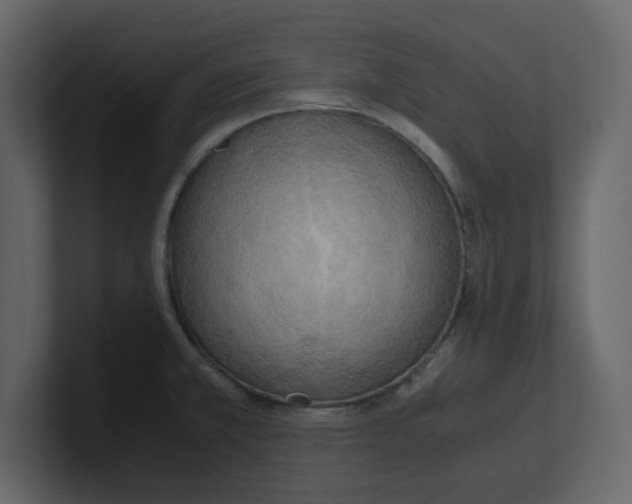 X0000100481381200807111052