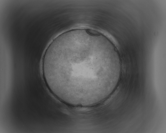 X0000100481382200807111052