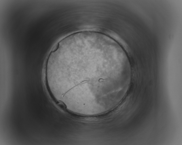 X0000100481383200807111052