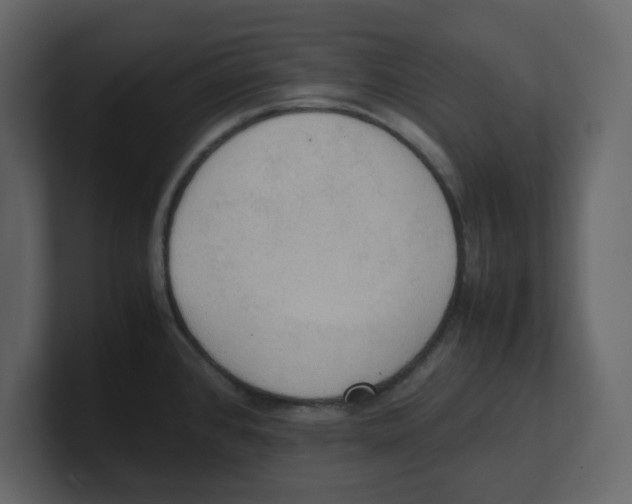 X0000100481384200807111052