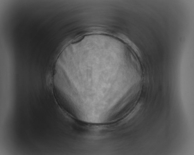 X0000100481385200807111052