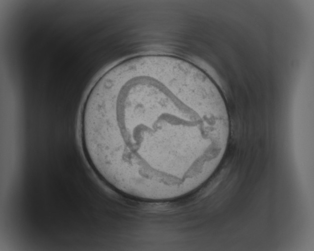 X0000100481387200807111052