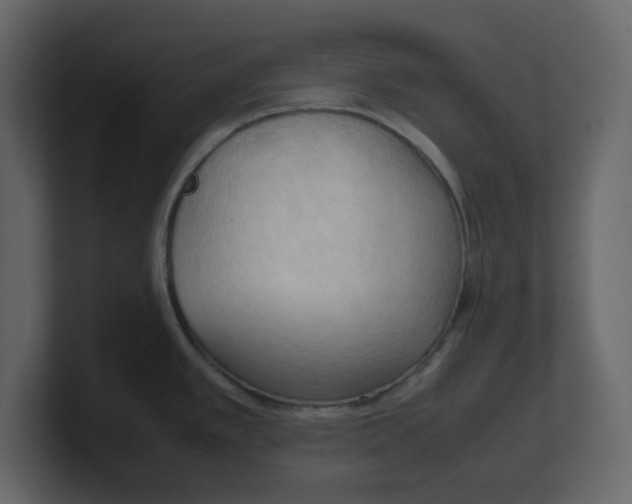 X0000100481389200807111052