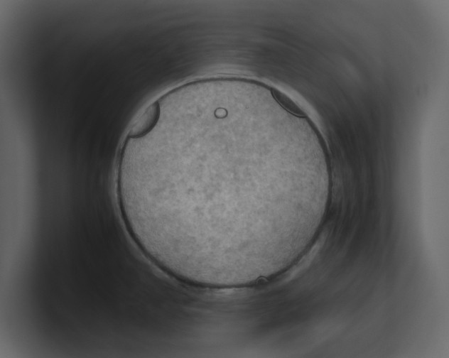 X0000100481390200807111052