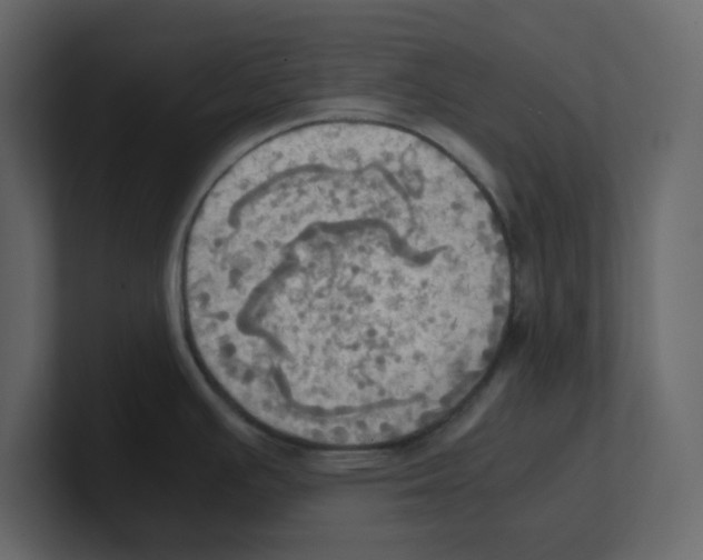 X0000100481391200807111052