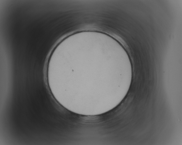 X0000100481392200807111052