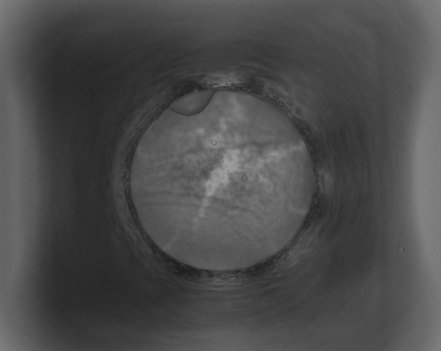 X0000100481393200807111052