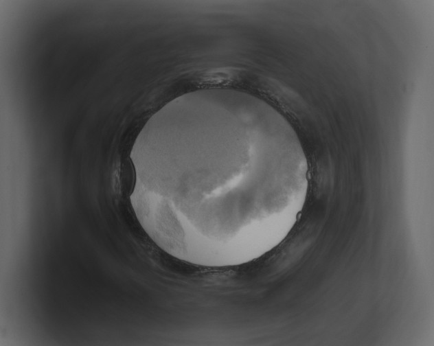 X0000100481394200807111052