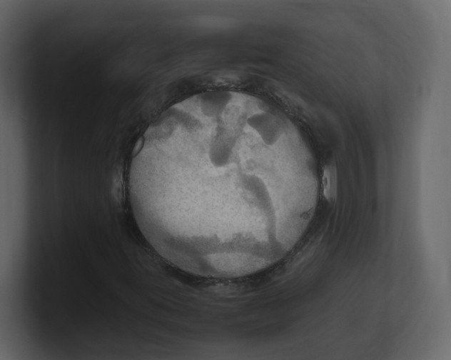 X0000100481395200807111052