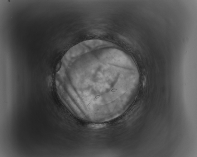 X0000100481397200807111052