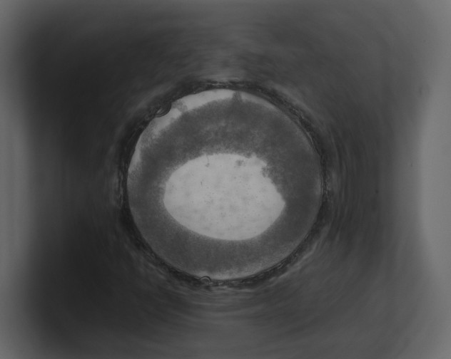 X0000100481398200807111052