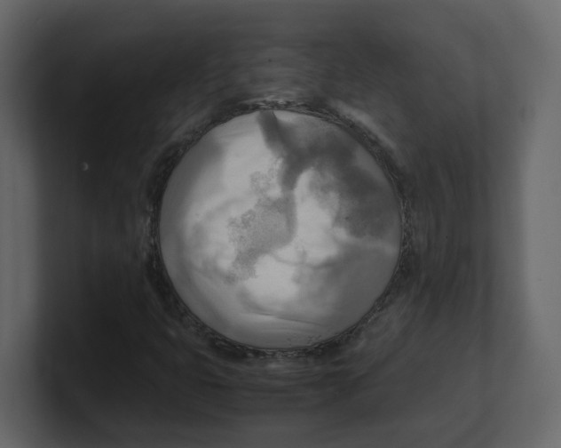 X0000100481399200807111052