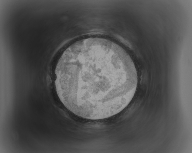 X0000100481400200807111052