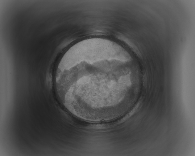 X0000100481402200807111052