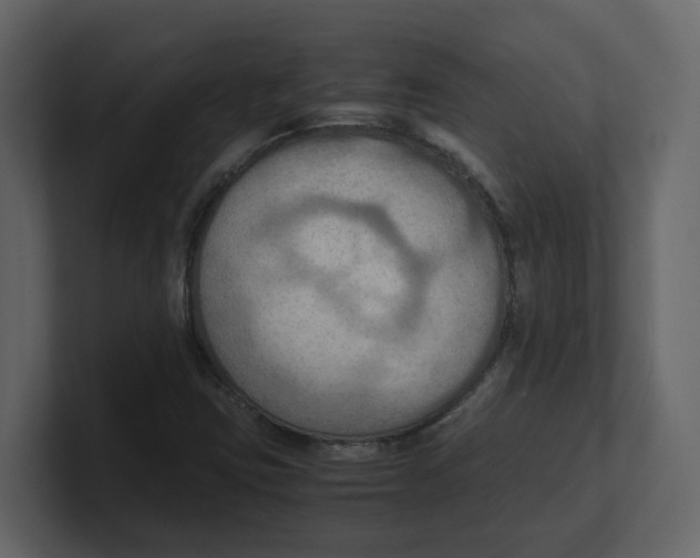 X0000100481403200807111052