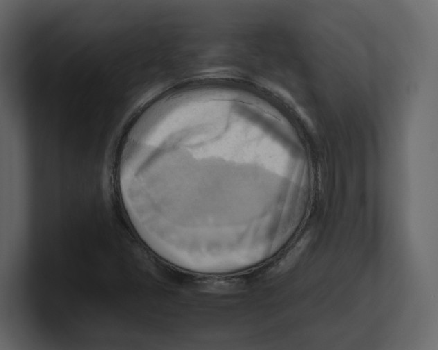 X0000100481405200807111052