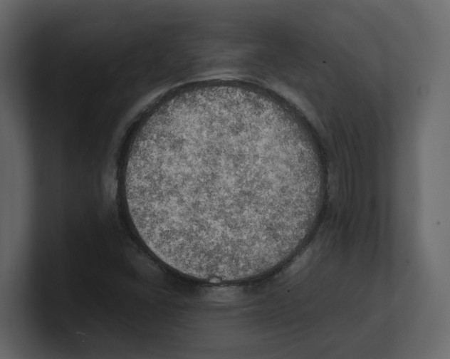 X0000100481406200807111052