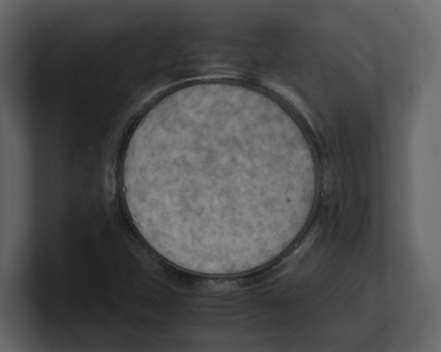 X0000100481407200807111052