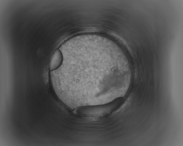 X0000100481409200807111052