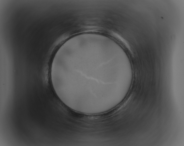 X0000100481411200807111052