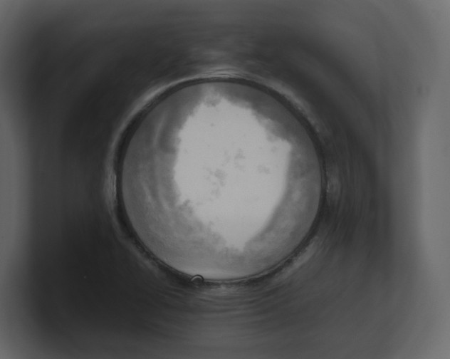 X0000100481414200807111052