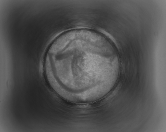 X0000100481415200807111052