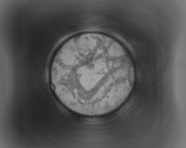 X0000100481416200807111052