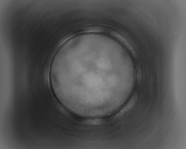 X0000100481417200807111052