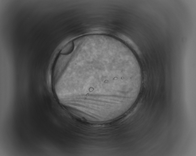 X0000100481419200807111052