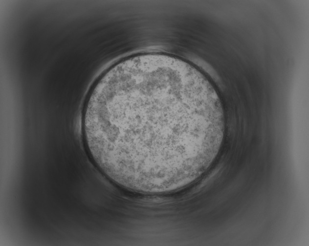 X0000100481420200807111052