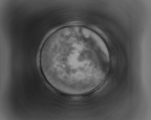 X0000100481421200807111052