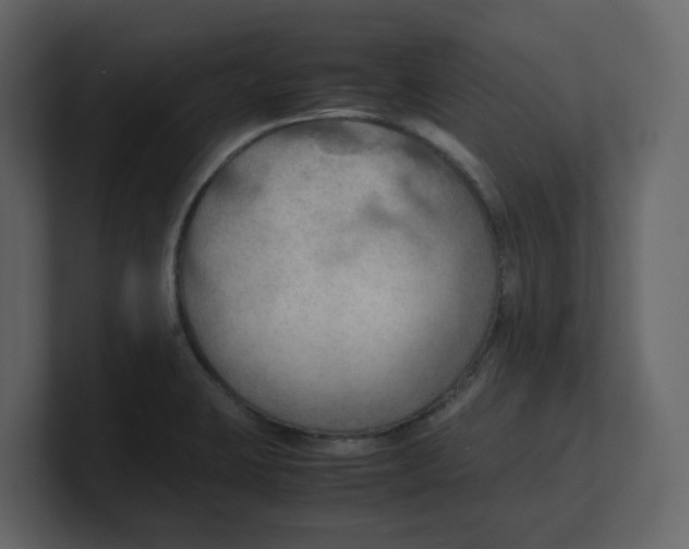 X0000100481423200807111052