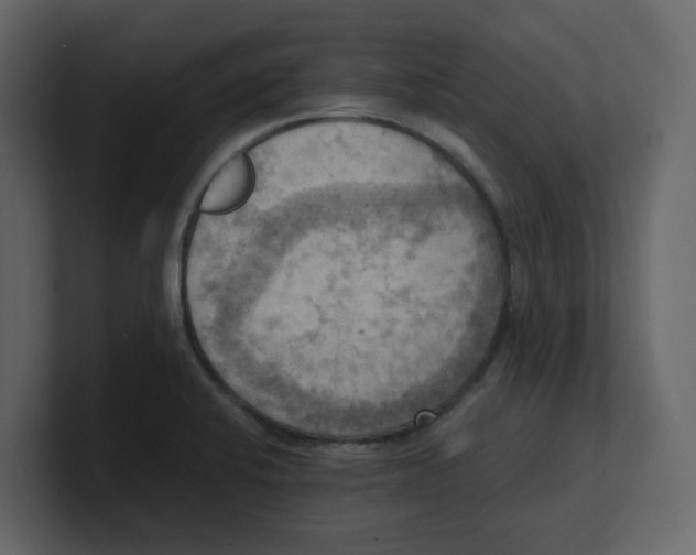 X0000100481424200807111052