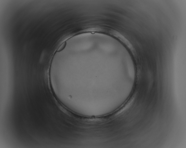 X0000100481425200807111052